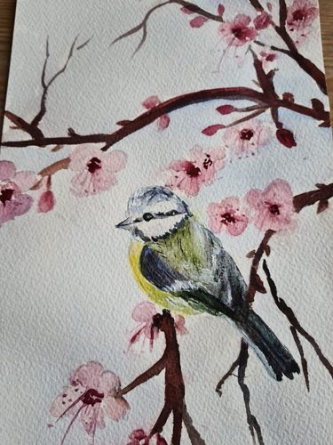 Christine M, Blue Tit on Cherry blossom, mixed media.
